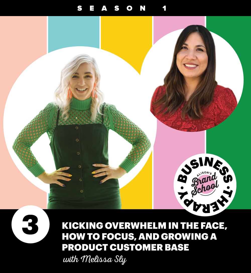 Ep 3: Kicking overwhelm in the face, how to focus, and growing a product customer base with Melissa Sly!